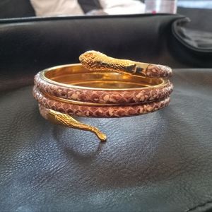 Exotic bracelet